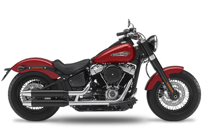 2021 Harley-Davidson Slim - Slipons 
