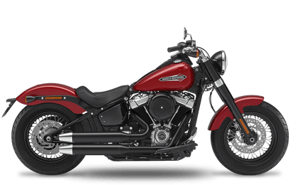 2021 Harley-Davidson Slim - Complete System 