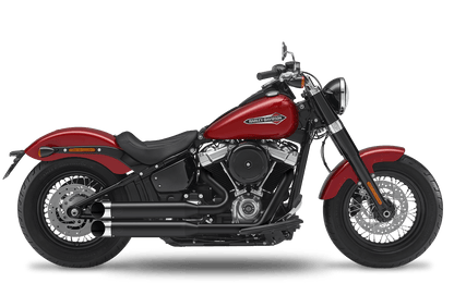 2021 Harley-Davidson Slim - Complete System 