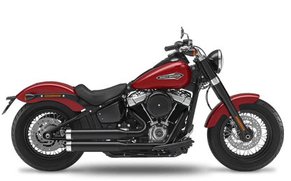 2018-2020 Harley-Davidson Slim - Complete System 