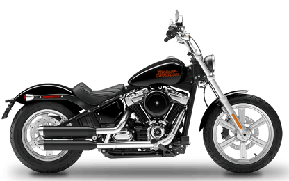 2021-2024 Harley-Davidson Standard - Slipons 
