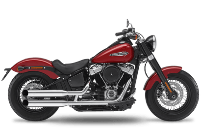 2018-2020 Harley-Davidson Slim - Slipons 