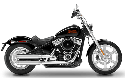 2021-2024 Harley-Davidson Standard - Slipons 
