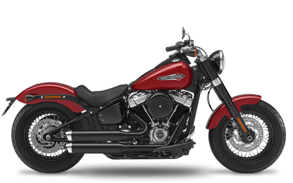 2021 Harley-Davidson Slim - Complete System 