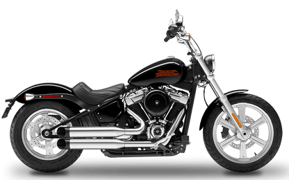 2021-2024 Harley-Davidson Standard - Complete System 