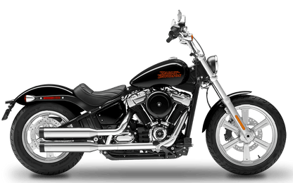 2021-2024 Harley-Davidson Standard - Slipons 