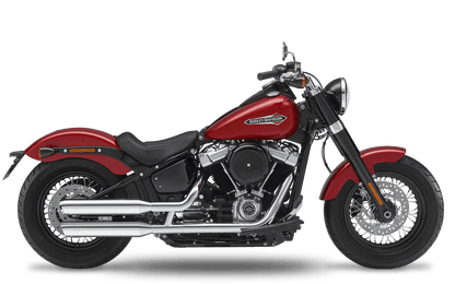 2021 Harley-Davidson Slim - Slipons 