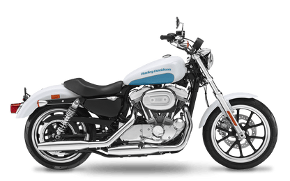 2004-2006 Harley-Davidson 883 Custom - Slipons 