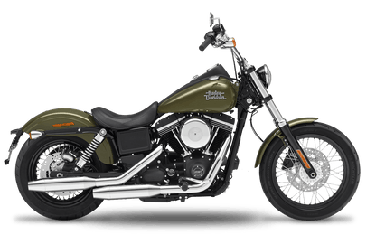 1999-2005 Harley-Davidson Low Rider - Slipons 