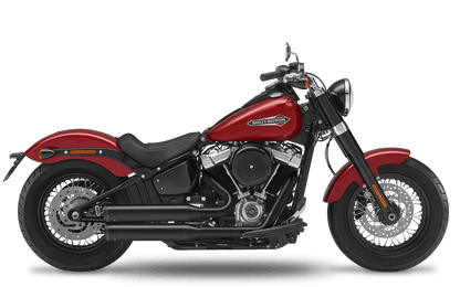 2021 Harley-Davidson Slim - Complete System 
