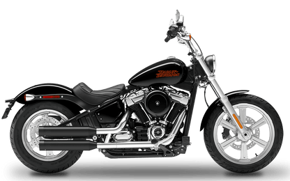 2021-2024 Harley-Davidson Standard - Slipons 